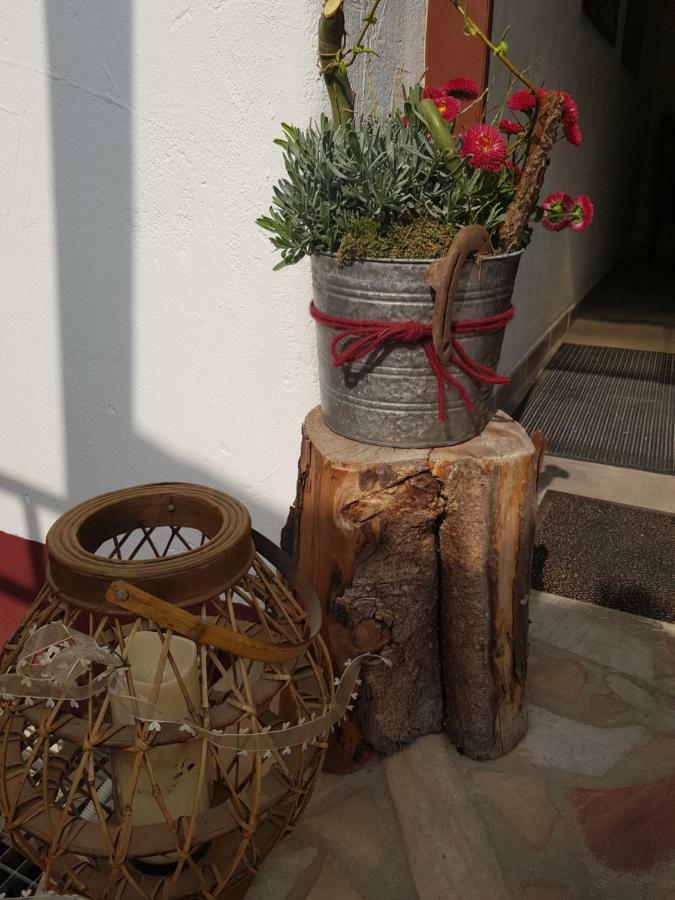 Gaeste Apartement Casa Luber Thalmassing  外观 照片